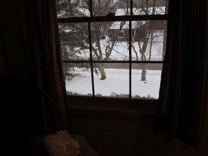 IMG_2308